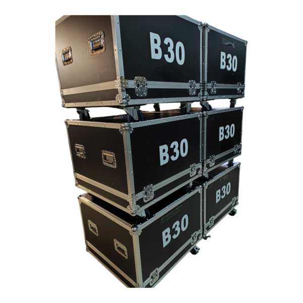 Case B30